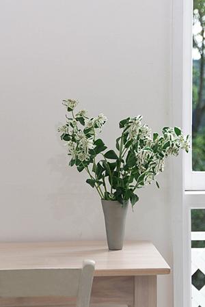 玄関ドアをリフォームしてみよう