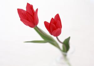 東京でアンティーク家具を探すならココ